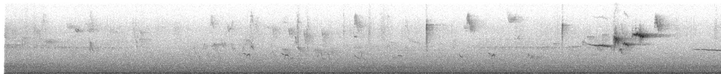 Townsend's Warbler - ML430717911