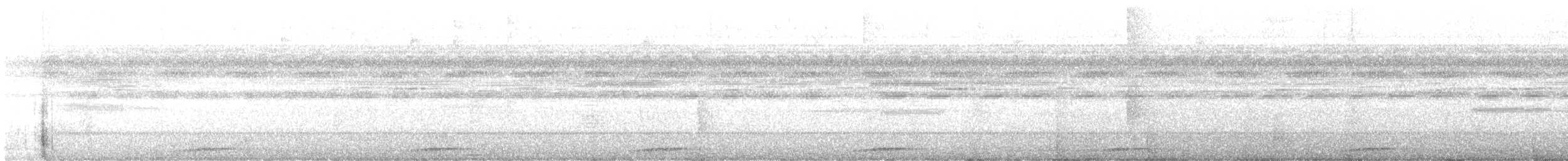 Küçük Kurşuni Güvercin - ML430724761