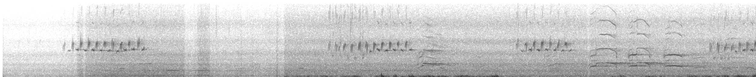 Dark-eyed Junco - ML430736421