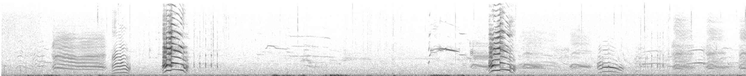 Ring-billed Gull - ML430794901
