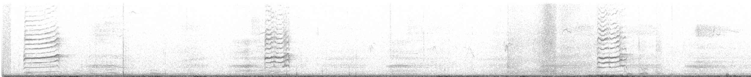 Black-billed Magpie - ML430806901