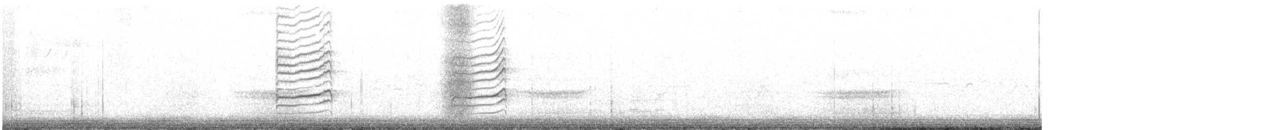 Black-billed Magpie - ML430807181