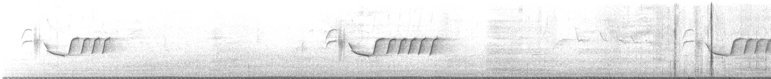 Troglodyte de Bewick - ML430815461