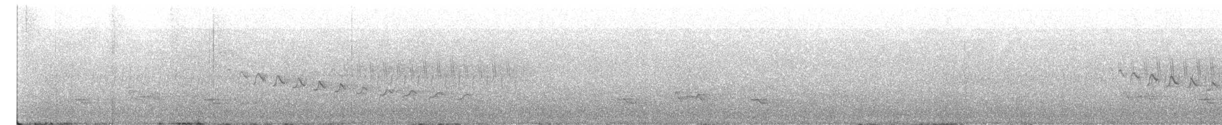 Каньонный крапивник - ML430819371