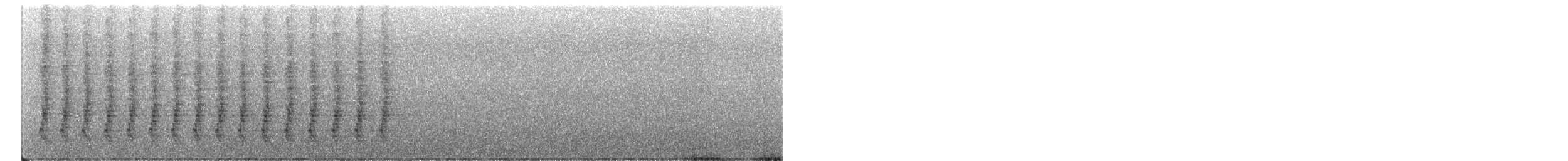 Chara de Steller - ML430822751