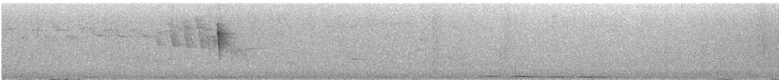 holub karibský - ML430840241