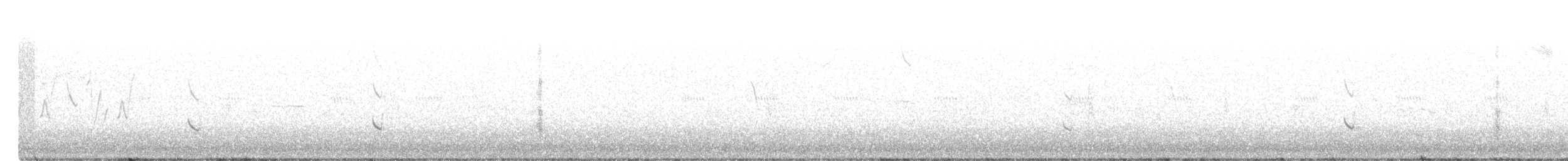 White-tailed Kite - ML430844321