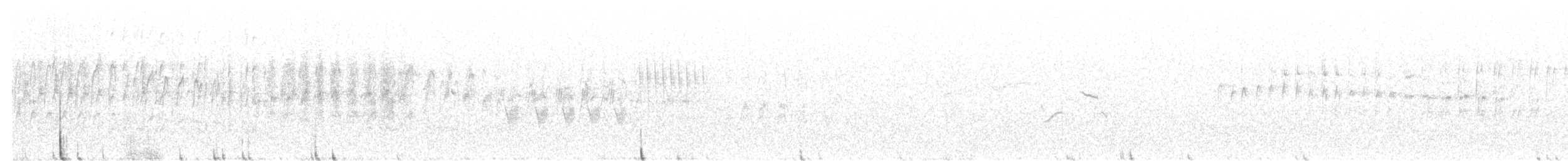 Серпокрилець білогорлий - ML430858161