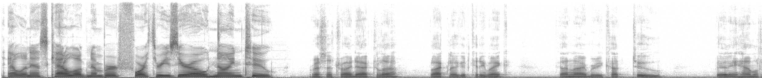 racek tříprstý (ssp. tridactyla) - ML43092