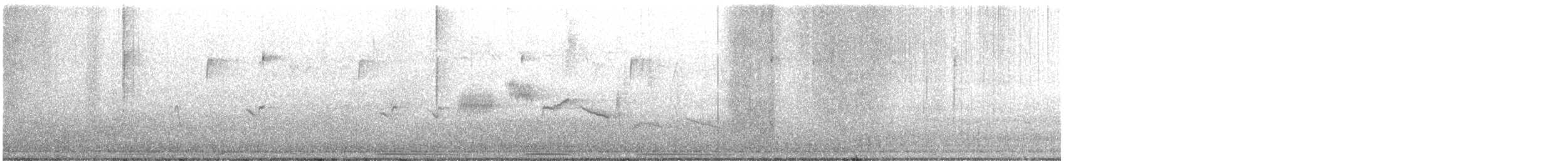 ゴマフスズメ - ML430923271