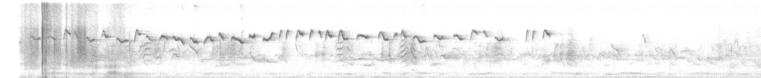 Salpornis tacheté - ML430965501