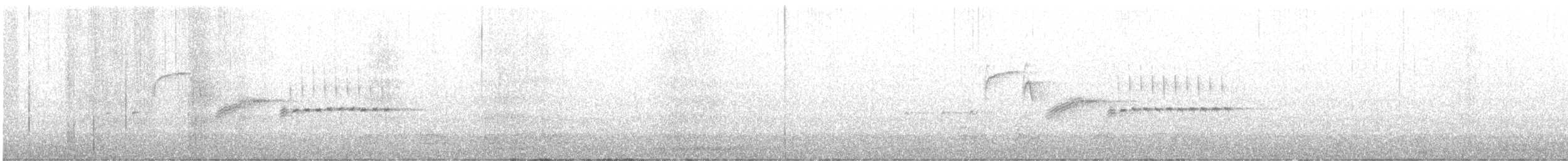 Bewick's Wren - ML430972471