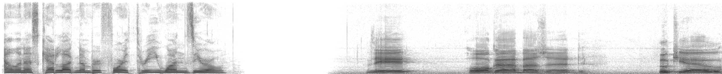 káně černohřbetá (ssp. augur) - ML4310