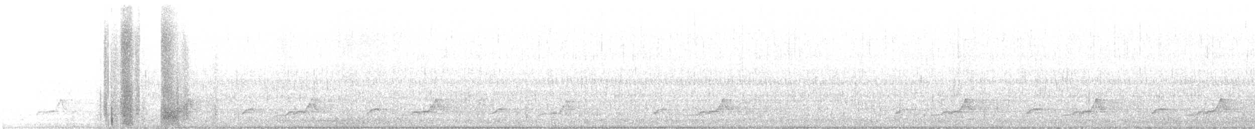 Schwarzkehl-Nachtschwalbe - ML431009491