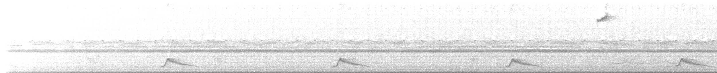 Pauraquenachtschwalbe - ML431085581