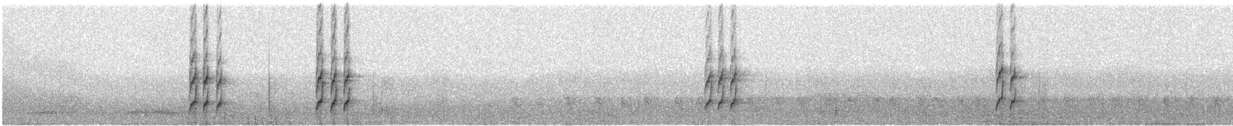 White-throated Spadebill (Eastern) - ML431090581