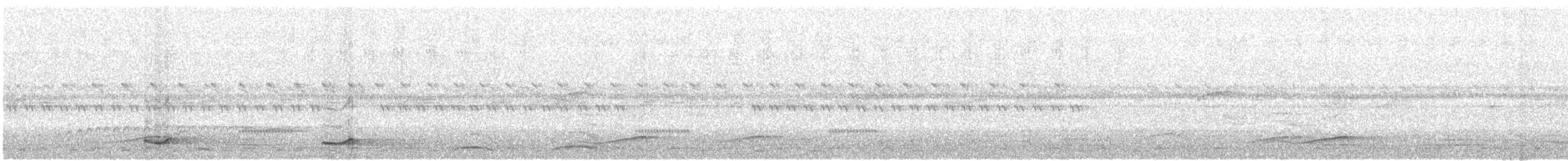 Анаперо-довгокрил бурий (підвид nattereri) - ML431093771