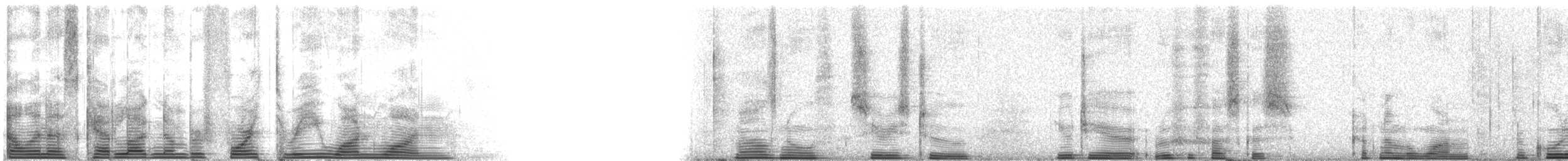 Augurbussard (augur) - ML4311