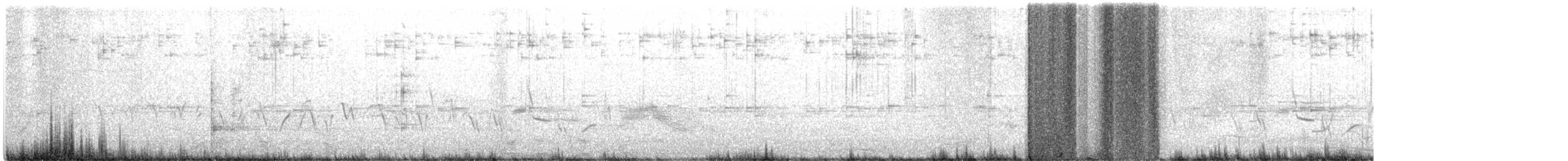 House Finch - ML431169121