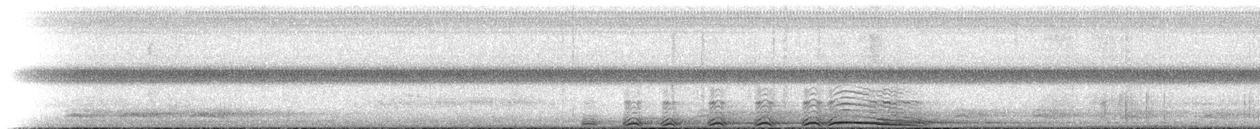 Streifenkauz - ML431219191