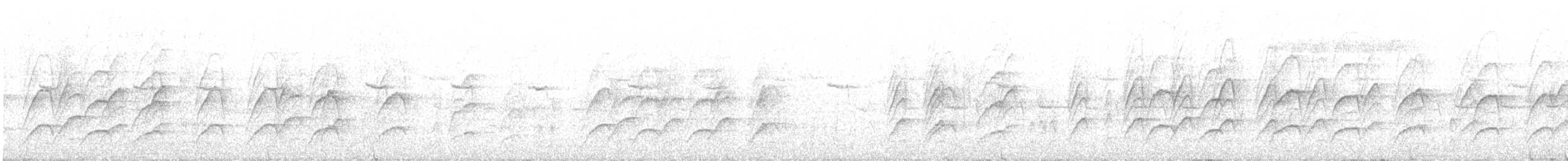 hvitskjegglattertrost - ML431281771