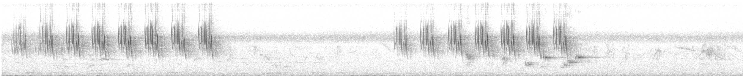 Striped Prinia - ML431285021