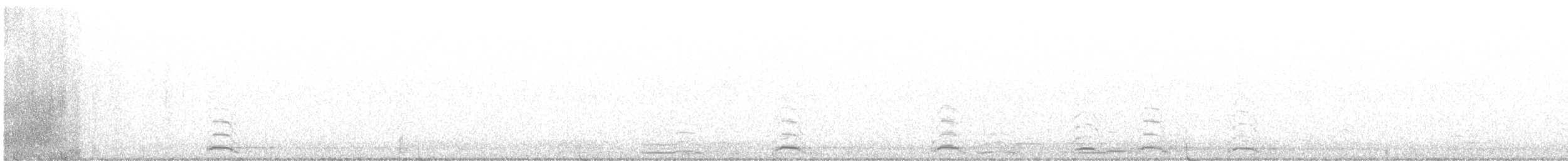 Cygne siffleur (columbianus) - ML431406991