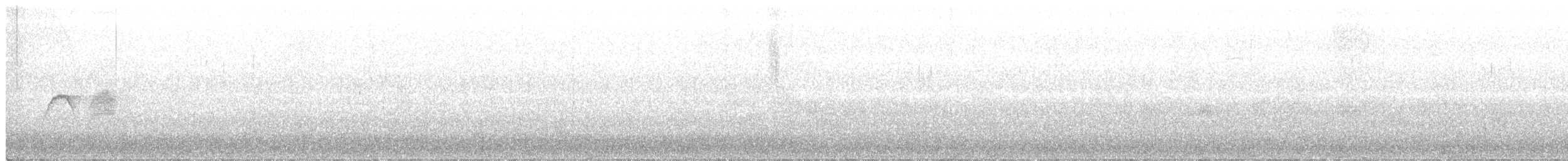 ツキヒメハエトリ - ML431457731