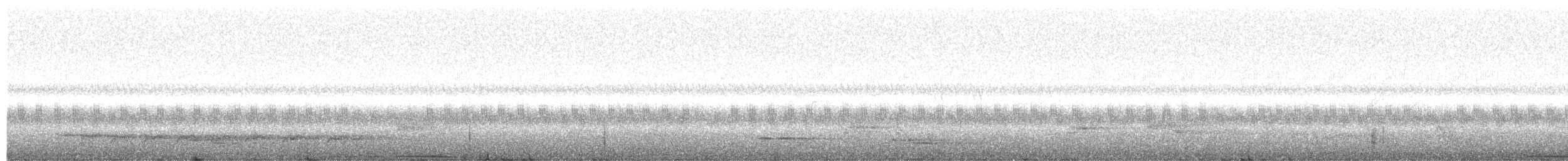 holub andamanský - ML43148211