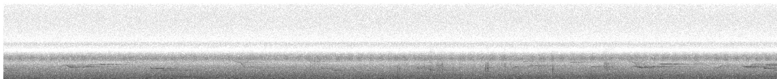 holub andamanský - ML43148231