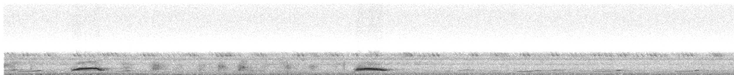 Андаманская иглоногая сова - ML43154411