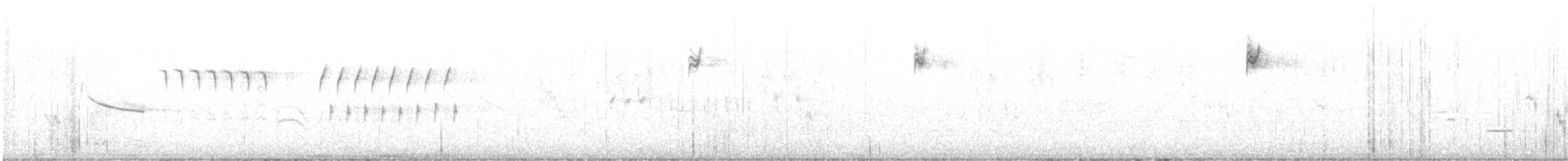 גיבתונית לבנת-גבה - ML431600091
