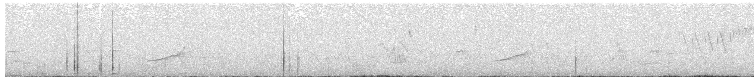 Strichelrücken-Ameisenfänger - ML43160551