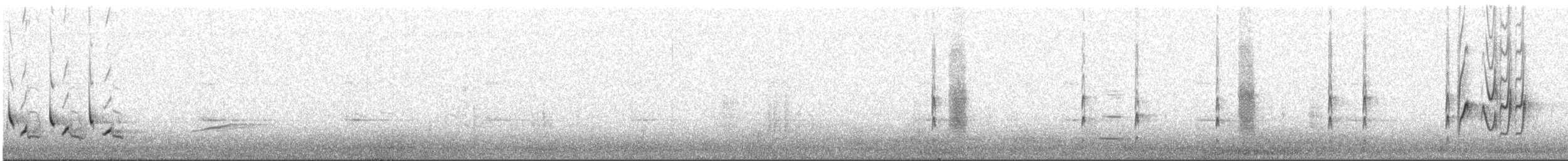 Northern Mockingbird - ML431628511