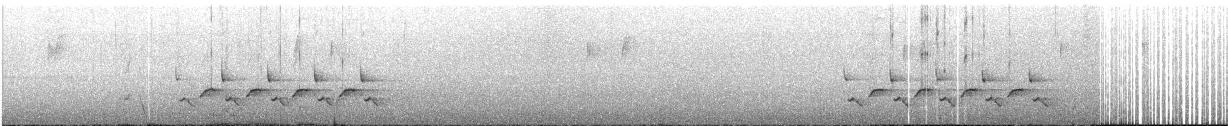 Carolina Wren - ML431638141