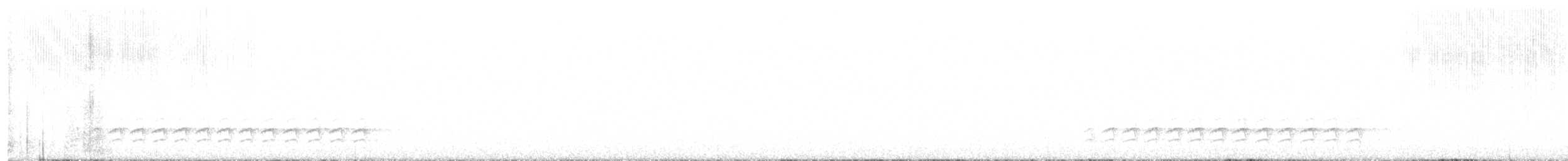 Weißbrustkleiber - ML431642641