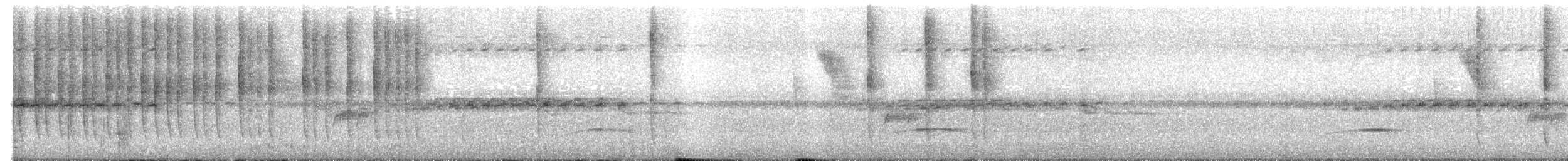 Rufous-tailed Hummingbird - ML431692261