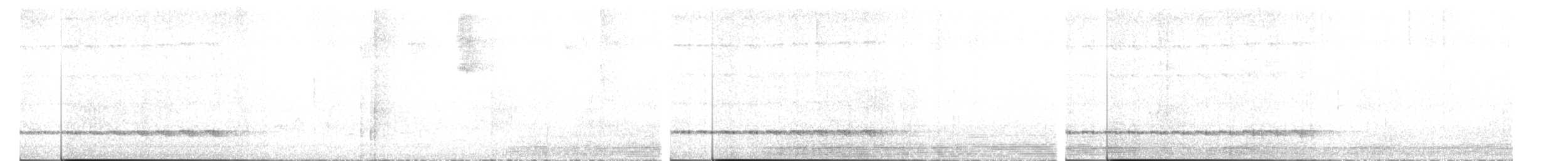 Mayan Antthrush - ML431756981