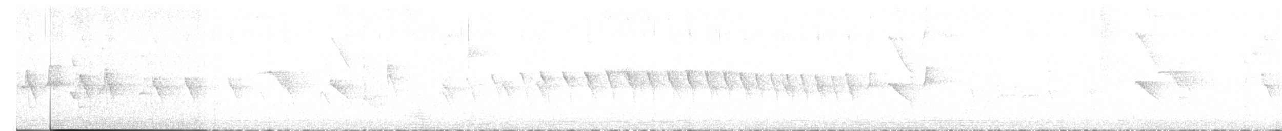 Dot-winged Antwren - ML431757061