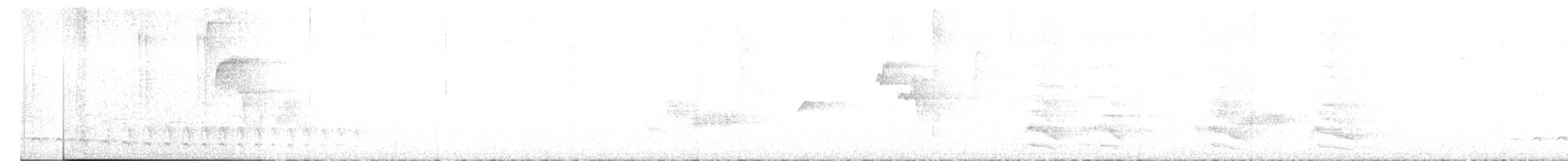 Plain Antvireo - ML431757351