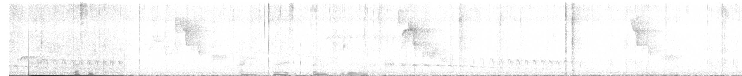 Plain Antvireo - ML431757361