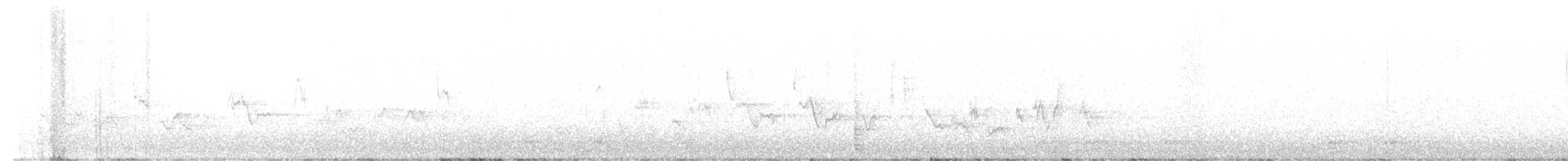 Пурпурная чечевица (purpureus) - ML431765031