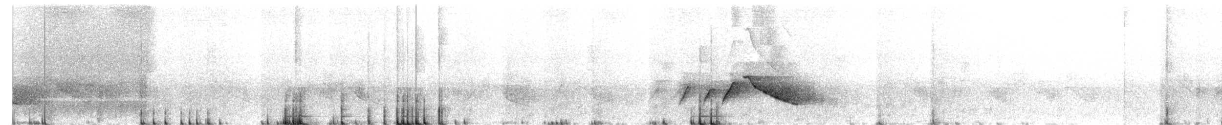 Белоухая сибия - ML431878911