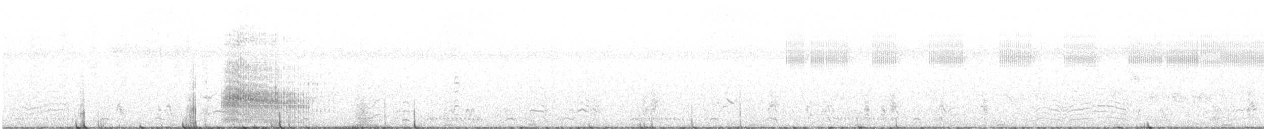 savanneråke (caudatus) - ML431922171