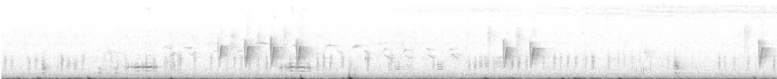 Широкохвостая терновница [группа brachyura] - ML431934671