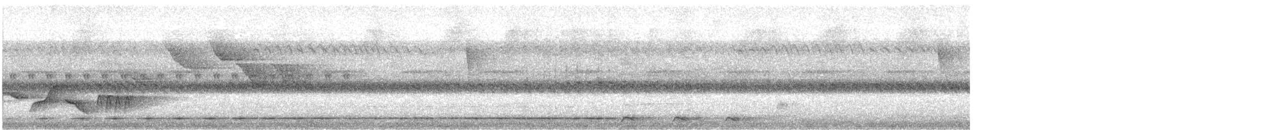 Short-tailed Antthrush - ML431943551