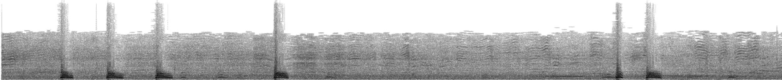 Berta di Bulwer - ML432001431