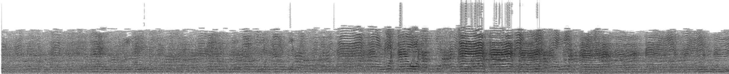 buřňák šedý - ML432001841