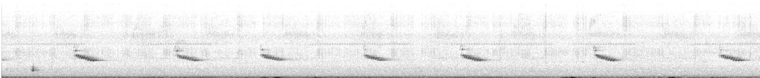 Поплітник каролінський - ML432010821