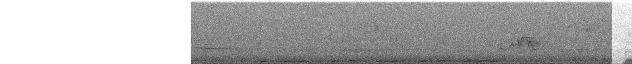 Chouette rayée - ML432012761